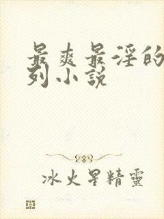 最爽最淫的乱系列小说封面