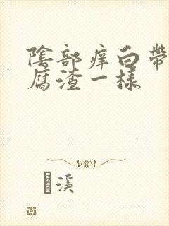 阴部痒白带像豆腐渣一样