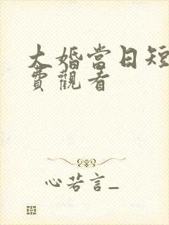 大婚当日短剧免费观看