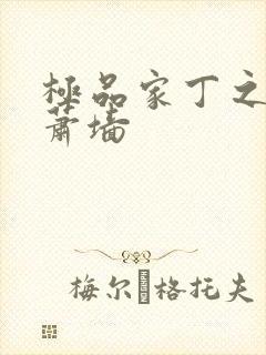 极品家丁之淫入萧墙