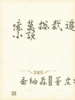 亿万总裁追妻忙小说