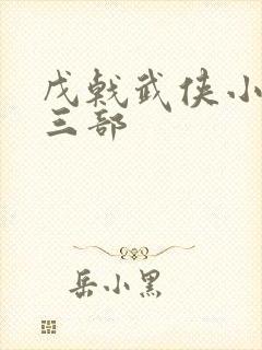 戊戟武侠小说十三部