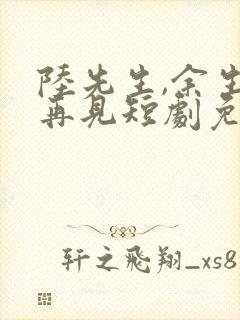 陆先生,余生不再见短剧免费观看全集封面