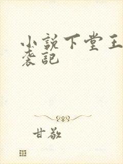 小说下堂王妃逆袭记