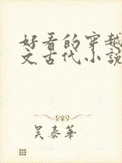 好看的穿越种田文古代小说封面