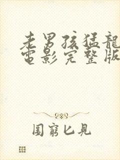 老男孩猛龙过江电影完整版在线观看