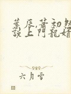 叶辰,萧初然小说上门龙婿