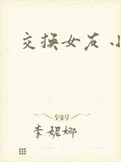 交换女友 小说