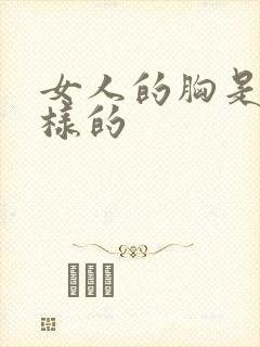 女人的胸是什么样的