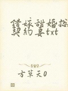 错嫁甜婚总裁的契约妻txt