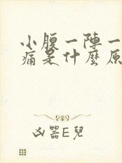 小腹一阵一阵的痛是什么原因