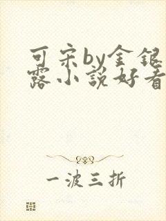 可宋by金银花露小说好看吗封面