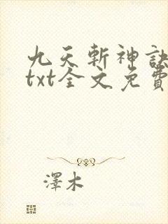 九天斩神诀林辰txt全文免费下载封面