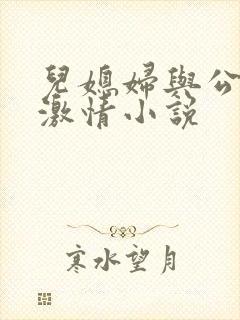 儿媳妇与公公的激情小说