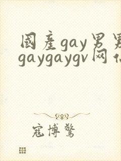 国产gay男男gaygaygv网站