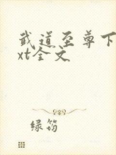 武道至尊下载txt全文封面