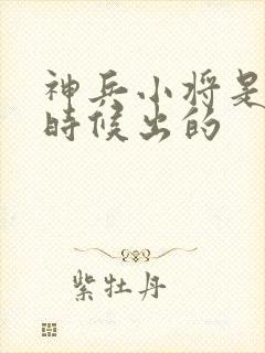 神兵小将是什么时候出的