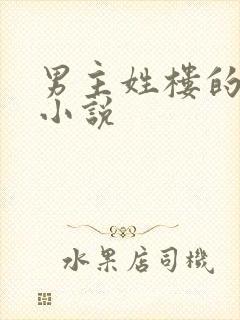 男主姓楼的总裁小说