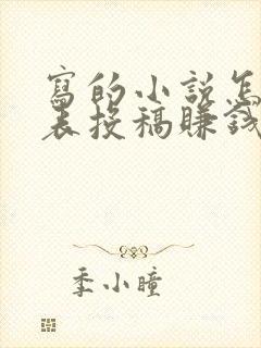 写的小说怎么发表投稿赚钱