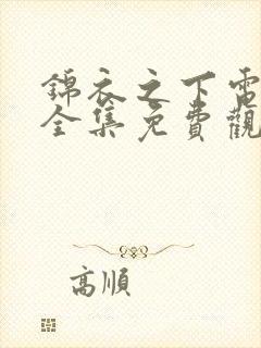 锦衣之下电视剧全集免费观看高清