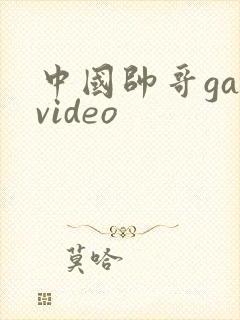 中国帅哥gayvideo