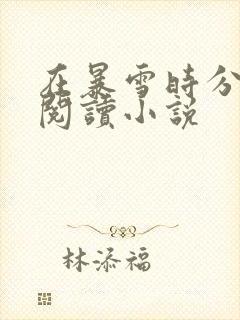 在暴雪时分全文阅读小说