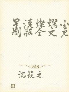 星汉灿烂小说未删版全文免费阅读