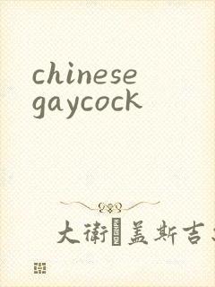 chinesegaycock