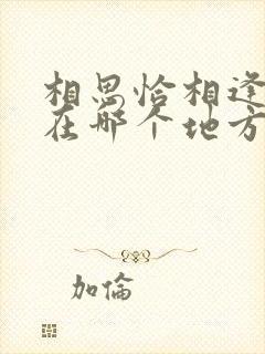 相思恰相逢短剧在哪个地方下载