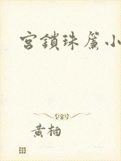 宫锁珠帘小说