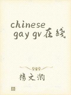 chinese gay gv在线