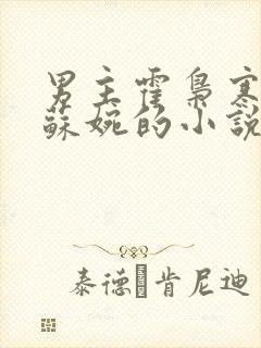 男主霍枭寒女主苏婉的小说