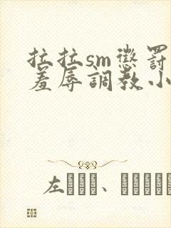 拉拉sm惩罚室羞辱调教小说封面