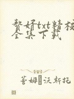 赘婿txt精校全集下载