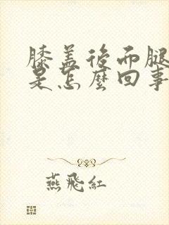 膝盖后面腿弯疼是怎么回事