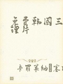 免费韩国三级伦理片封面