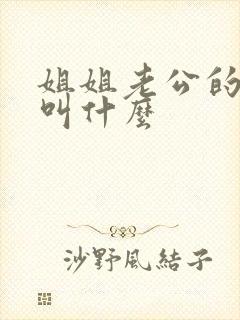 姐姐老公的弟弟叫什么