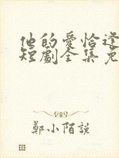 他的爱恰逢其时短剧全集免费观看封面