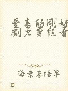 爱来的刚好电视剧免费观看哦