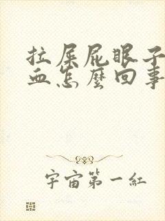 拉屎屁眼子疼带血怎么回事封面