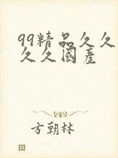 99精品久久久久久国产