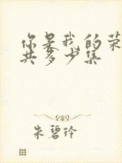 你是我的荣耀一共多少集