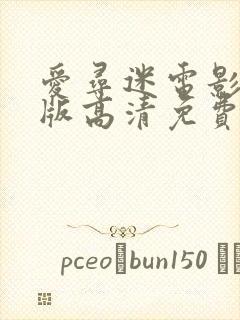 爱寻迷电影完整版高清免费观看封面