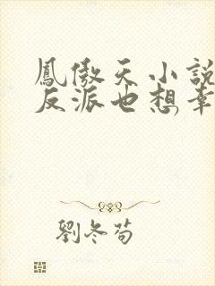 凤傲天小说里的反派也想幸福沐恩