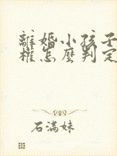 离婚小孩子抚养权怎么判定