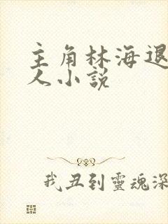 主角林海退伍军人小说