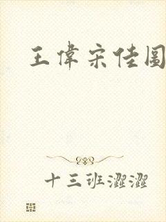 王伟宋佳图片封面