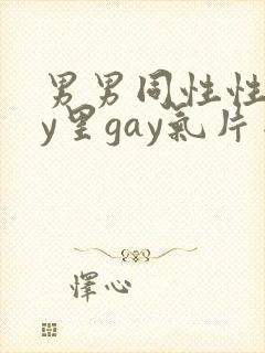 男男同性性gay里gay气片网站