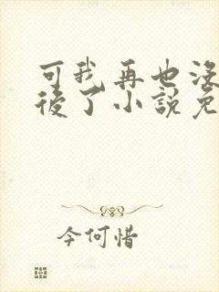 可我再也没有以后了小说免费阅读
