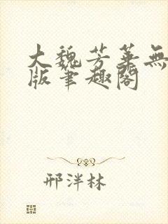 大魏芳华无删减版笔趣阁封面